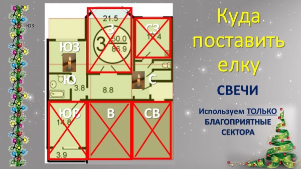 Куда поставить елку по фен шуй 2025